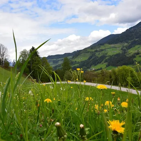 Apartment Niederstallnhof Sankt Johann im Pongau