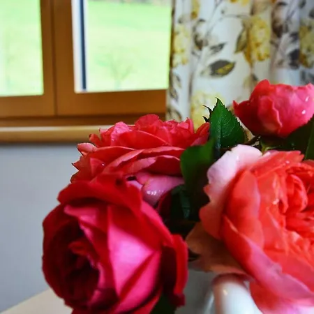 Niederstallnhof * Sankt Johann im Pongau