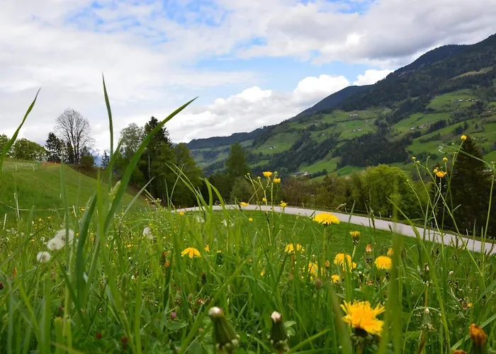 Lägenhet Niederstallnhof Sankt Johann im Pongau